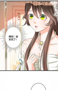 替身新娘，陆总的第一宠妻