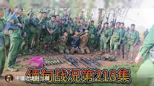 缅北反诈终极之战（81集）