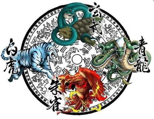 圣龙帝主，传奇的统治与威严的象征