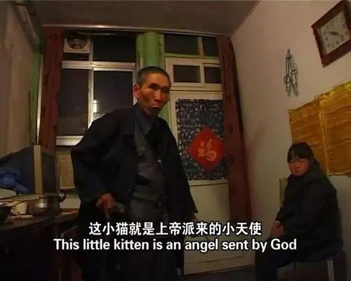 隐秘继承人（朱艺雯篇），揭秘命运与遗产的错综纠葛（共66集）