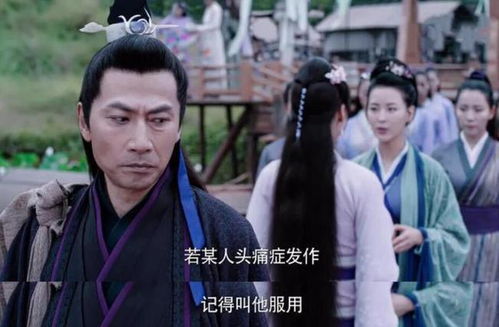 豪门厉总的屠户夫人（95集），权谋与爱情的交织传奇