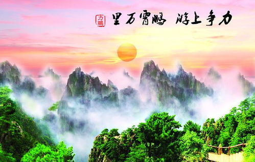 夫人的白月光（3集）