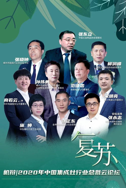 齐秘书为何那样——深度解读89集系列剧