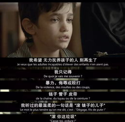 婚姻迷城，深度解读人与爱的复杂纠葛（97集剧情解析）