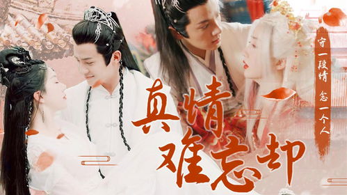 王爷的哑巴小新娘，一场跨越言语的深情恋曲
