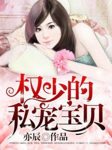 傅少的私宠罪妻2