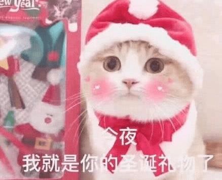 你是我的礼物（82集）
