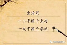 季先生知错了（60集）深度解析与感悟
