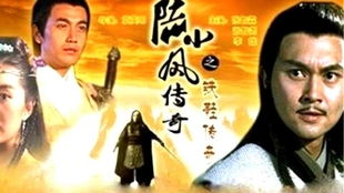 大帅不好惹，樊纾宁的传奇故事（第79集）