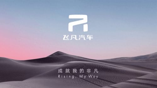 飞黄腾达，人生的辉煌之路