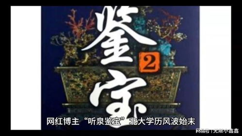 鉴宝金瞳，探寻古玩的神秘之旅