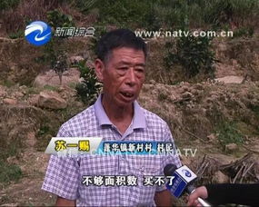 村民上百棵果树一夜被砍光，背后的故事与反思