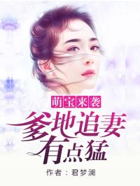 萌宝助攻，爹地追妈咪的奇妙旅程（80集剧情大纲）