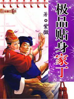 新极品家丁，现代家丁文化的崛起与变迁（90集深度解析）