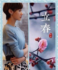 总裁夫人身兼多职，职场与生活的华丽篇章（18集系列文章）