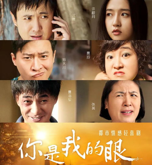 你是我的眼（50集）