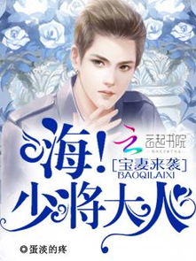 少将大人的轻轻宠，爱的百集诗篇（100集）