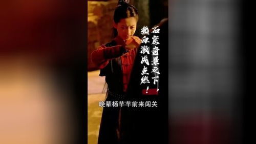 破产后，我被前任缠上了（98集），一场错综复杂的命运纠葛