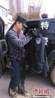 疯牛闯入校园追人，特警硬核出击——一场惊心动魄的校园危机处理纪实