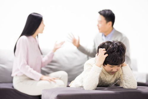 愤怒的妈妈，家庭矛盾的深度剖析（66集剧情解析）