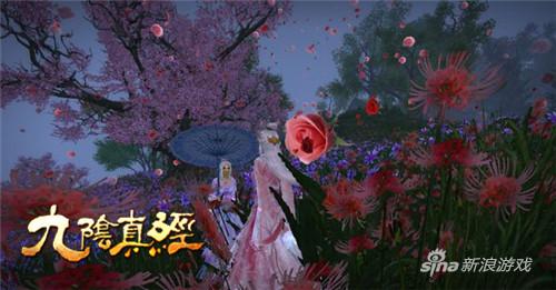 不能说的秘密，云摇花雨与风花雪月之60集奇幻旅程