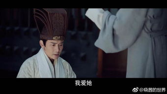 被渣后皇帝替我来虐渣