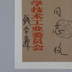 功德系统，我在古代当神医观剧有感
