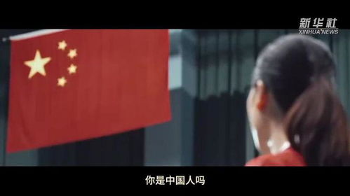 拳拳赤子心（62集）