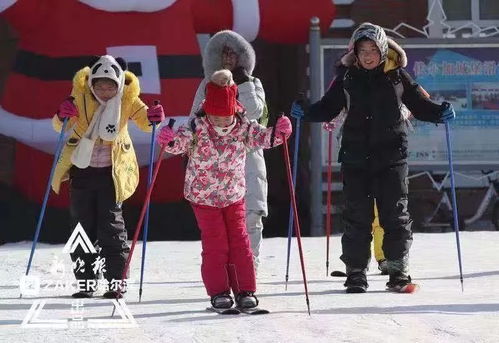 向佐哈尔滨玩雪，一秒800个假动作的魅力与风采