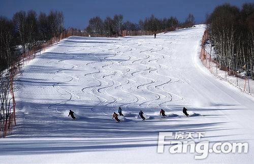 冰雪经济滑上高级道——探索中国冰雪产业的蓬勃发展