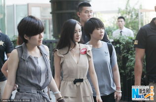 女明星的至尊保镖（第84集），铁壁守护与星光璀璨
