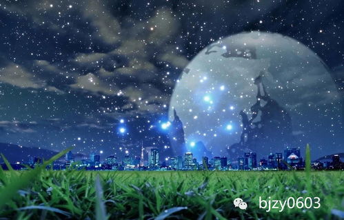 手可摘南星，一部跨越星空的奇幻之旅（80集深度解析）