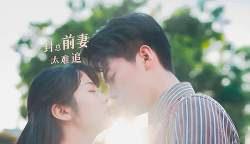 封总前妻太难追