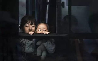 子时杂货铺，深夜的奇遇与人生百态（共80集）