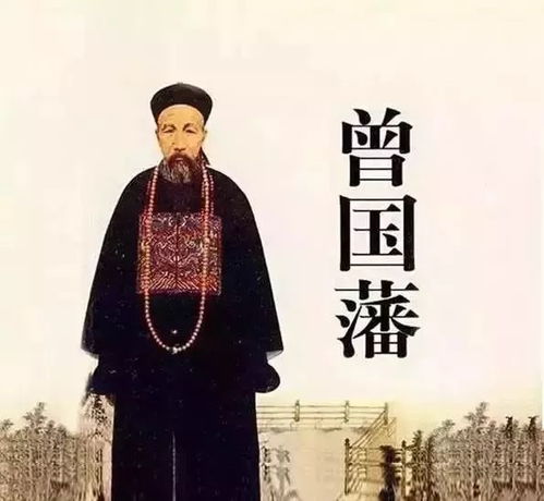 迟欢似是顾人来（81集）