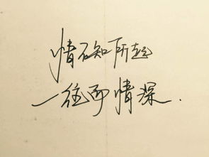 念念不忘终有时（68集）