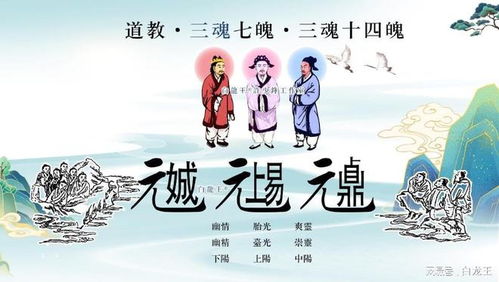 一胎五宝，爹地别跑（第101集）与伍昕宇的奇妙旅程