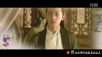 雁归来（65集）剧情深度解析