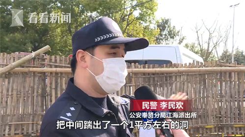 踹掉渣男后我成了全球团宠（第90集）