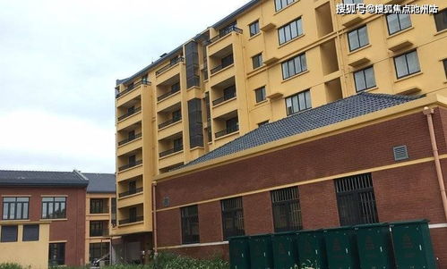 不修炼照样能斩神（76集）剧情解析与深度探讨