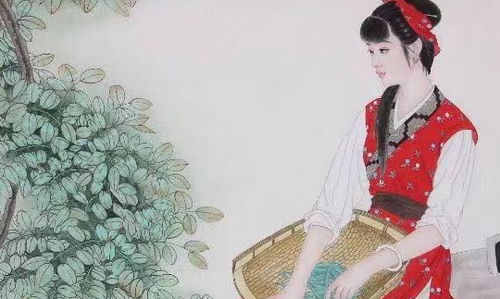 摄政王心头朱砂痣，权谋与情感的交织——48集全集深度解析
