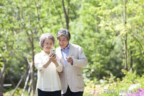 我有爱人了（76集）——杨晨璐的故事