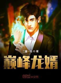 第一杀手龙婿（第XX集）剧情解析与角色深度探讨