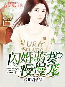 闪婚总裁小娇妻，一场都市爱情的浪漫旅程