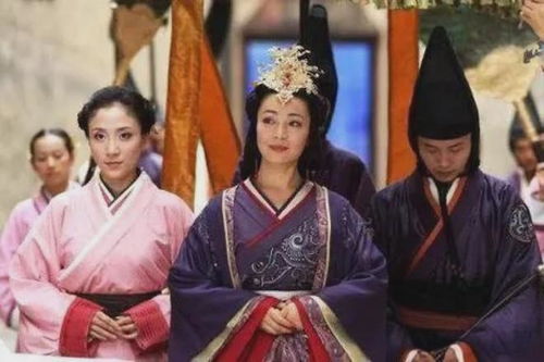 救命医女弃妇竟是长公主（71集连续剧剧情梗概）