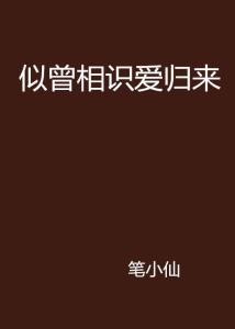 似曾相识爱归来（77集）剧情深度解析