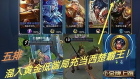 新护国帝尊，荣耀与责任并存的时代传奇