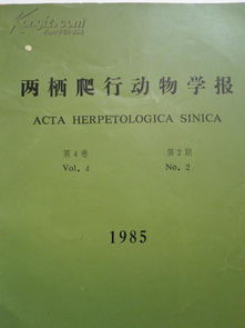 掌中之物，深度剖析与感悟（83集）