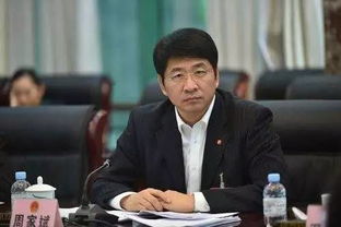 关于桂林市委书记周家斌被查事件的深度探讨