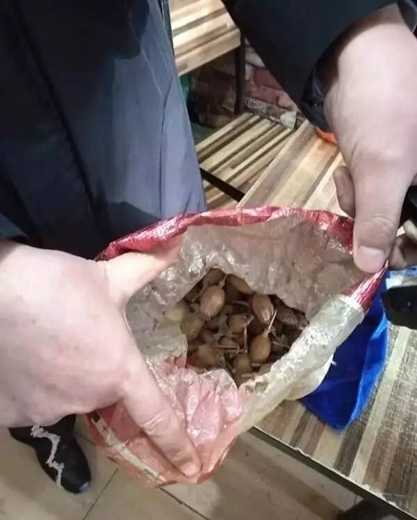 四川一商家卤水中添加罂粟壳事件，警示与反思